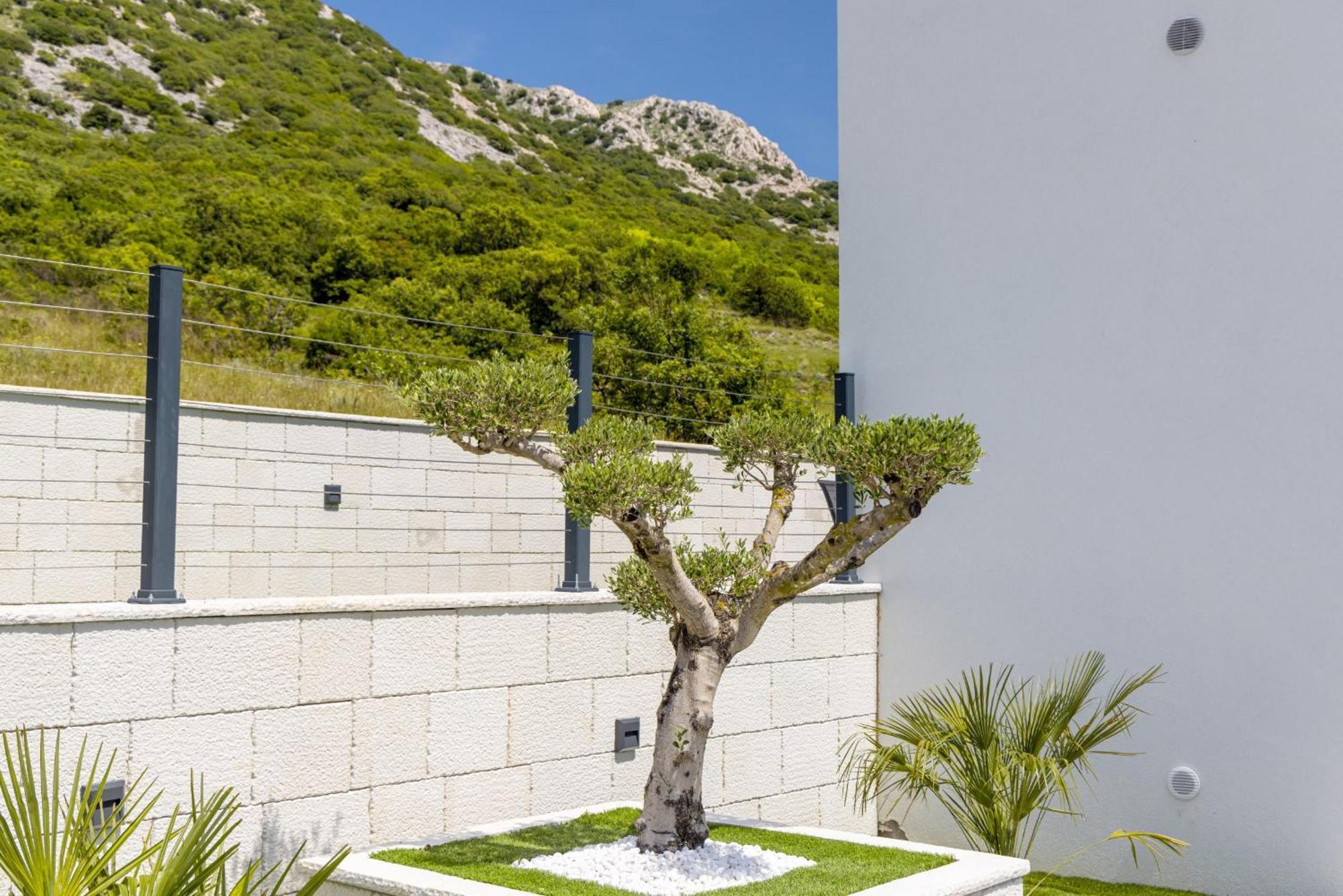Villa Bellezza Draga Bašćanska 外观 照片